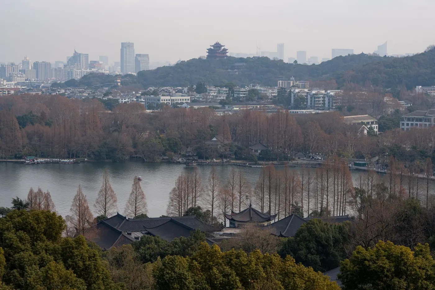 Xixi Wetland canals